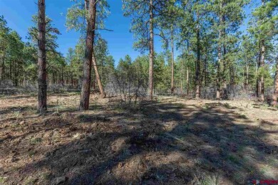 1096 Red Canyon Trail, Durango, CO 81301 - photo 3