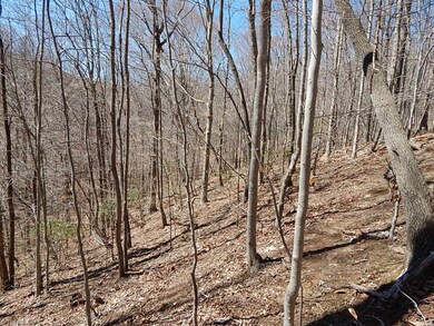 0 Deer Tracks Ln unit 750781, Misc., NC 27022 - photo 5