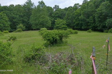 26 Riverview Dr, Lackawaxen Township, PA 18435 - photo 4