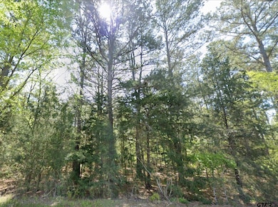 7087 Farm To Market 235, Jacksonville, TX 75766 - photo 2