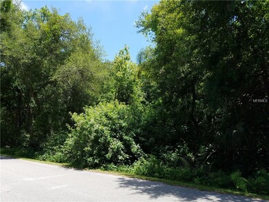 View of front of the lot -  looking east on Eugene