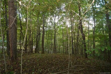 Level section near top of lot for easy build