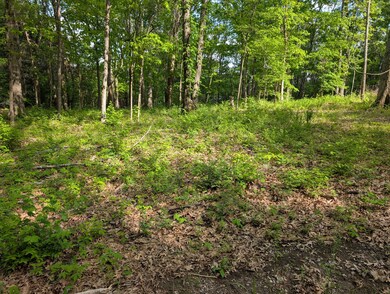 0 Bluff Rd unit RTC2823780, Brentwood, TN 37027 - photo 5