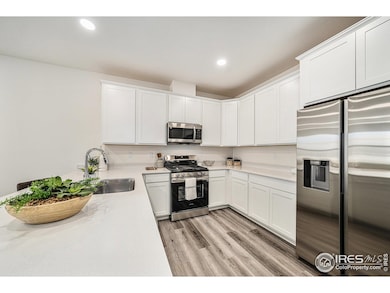 5073 Avon Ave, Loveland, CO 80538 - photo 5