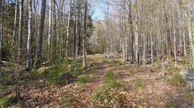 0 Winona Shores Rd unit 4859281, Meredith, NH 03253 - photo 4