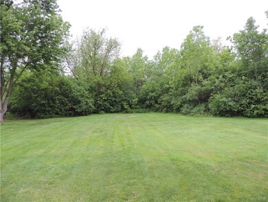 The back yard.