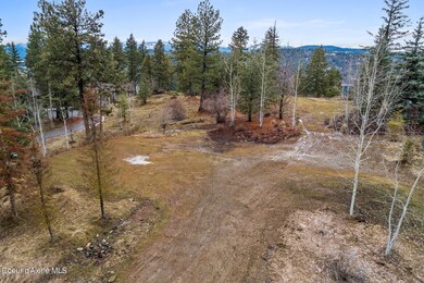 Lot56-3
