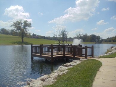 1239 S Rosemoor Dr unit L12, Nixa, MO 65714 - photo 7