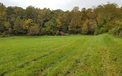 Additional View