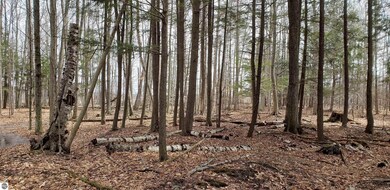 N/A Lehman Rd, Twining, MI 48766 - photo 7