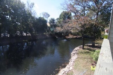 Turtle Pond