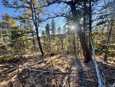 lot 5888 Loubier Rd, Fort Garland, CO 81133 - photo 7