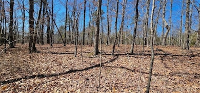 1 S Vista View Dr, Dunlap, TN 37327 - photo 7