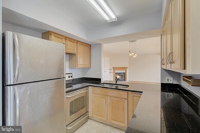 6907 Jones View Dr unit 69073B, Baltimore, MD 21209 - photo 5