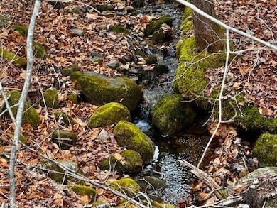 TBD Towle Hill Rd, Eaton, NH 03848 - photo 5