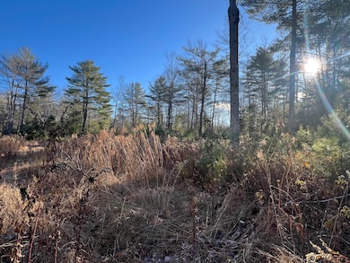 Lot # 7 Cranberry Way, Bowdoinham, ME 04008 - photo 3