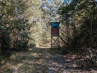 North Parcel