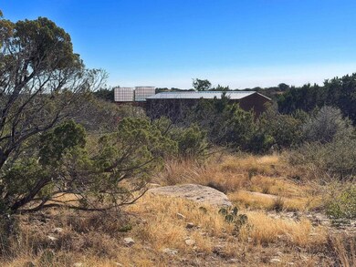 042 Brando Rd, Comstock, TX 78837 - photo 7