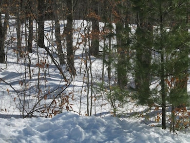 0 River Ct unit PM-62467, Pocono Lake, PA 18347 - photo 7