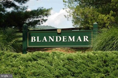 LOT 31 Blandemar Dr, Samuel Miller, VA 22903 - photo 3