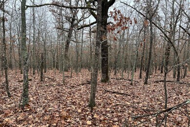 Vacant Land For Sale in the Ozarks3