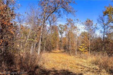 TRACT 1 SE 575, Locust Grove, OK 74352 - photo 6