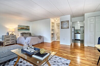 44 Concord Ave unit 101, Cambridge, MA 02138 - photo 5