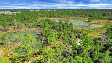 1530 Scrub Jay Ct, Deland, FL 32724 - photo 6