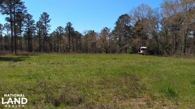 0 County Road 18 unit 15525411, Headland, AL 36345 - photo 6