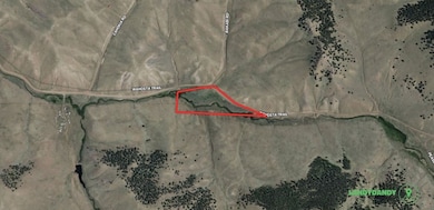 5344 Wahostsa Trail, Hartsel, CO 80449 - photo 2