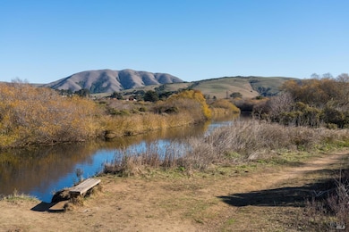 95 Highland Way, Inverness, CA 94937 - photo 5