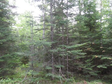 Acreage Cth Cc, Tomahawk, WI 54487 - photo 5