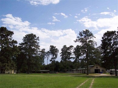 23813 Murrell Rd, Hockley, TX 77447 - photo 7