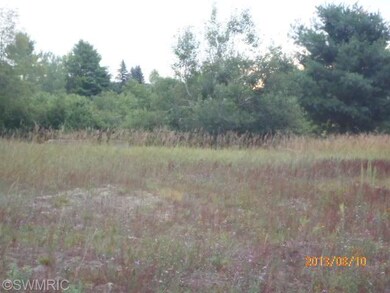 8685 Kaleva St, Kaleva, MI 49645 - photo 4