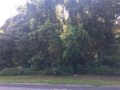 2933 S Cygnet Terrace, Inverness, FL 34450 - photo 2