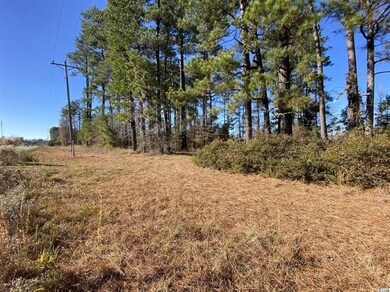 TBD 1.0 Acre Highway 378, Conway, SC 29527 - photo 4