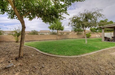Private Backyard
