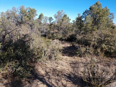 9910 CLEAR FORK 1