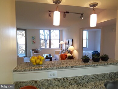 Carlton House @ Reston Town Center unit 608, Reston, VA 20190 - photo 4