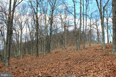 LOT 194 Lockinger Ridge Rd, Old Fields, WV 26836 - photo 6