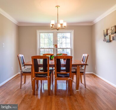 4336 Cub Run Rd, Chantilly, VA 20151 - photo 7