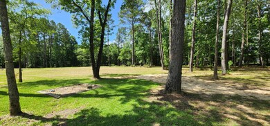 200 Lightening Bolt Ln, Dayton, TX 77535 - photo 3