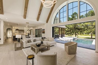 Living area with beamed ceiling, high vaulted ceil