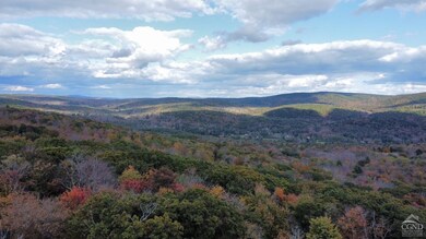 1 W Hill Rd, Austerlitz, NY 12017 - photo 7