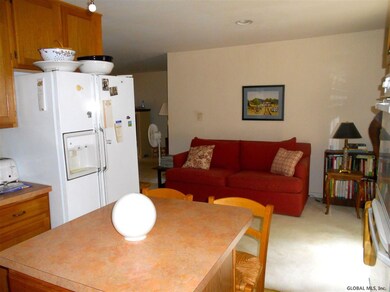 14 Mercer St, Albany, NY 12202 - photo 2