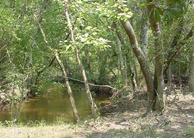 More Pictures of Creek at Back of Lot