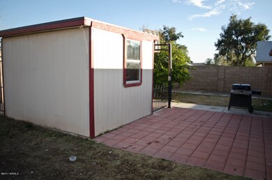 Storage Shed in back yard