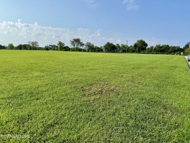 142 Arbor Ln, Dandridge, TN 37725 - photo 4