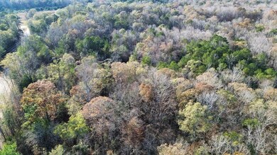 Tract B Lee Road 345, Salem, AL 36874 - photo 4