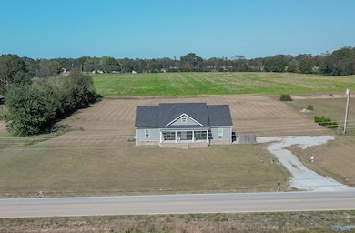 13617 New Cut Rd, Athens, AL 35611 - photo 5